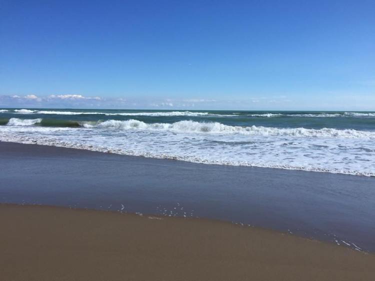 GAVAMAR 12 avril 2018.jpg