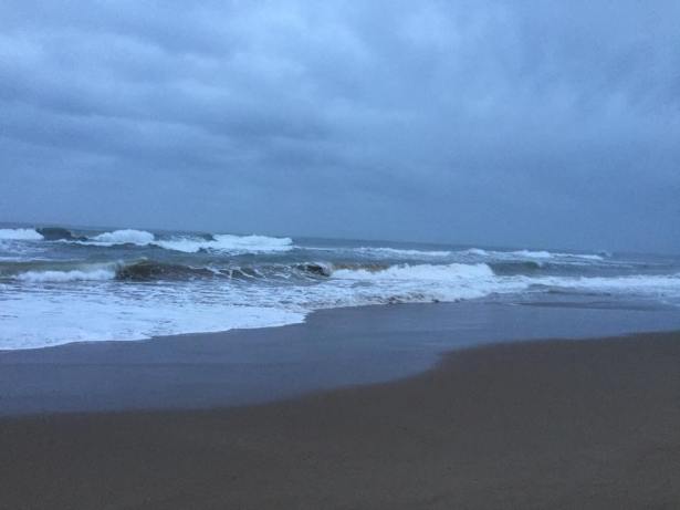 gavamar 1er mars 2018 2.jpg