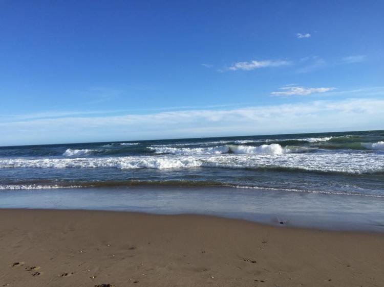 GAVAMAR le 5 mars 2018 0.jpg