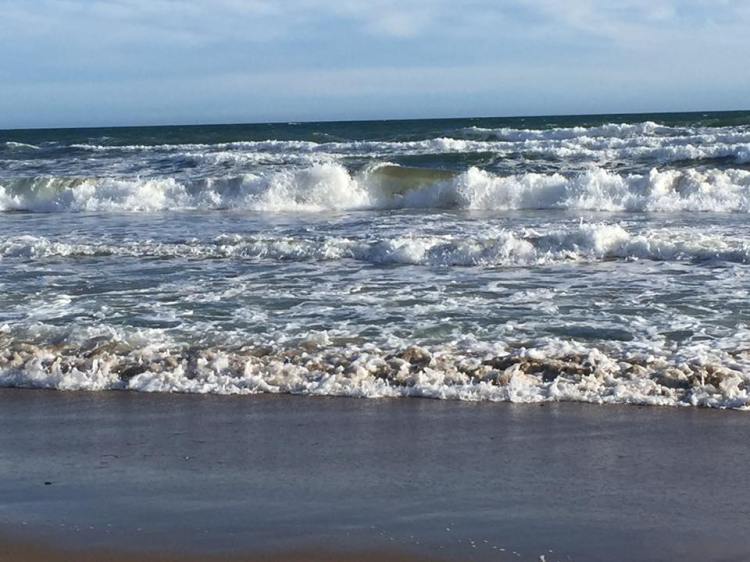 GAVAMAR le 5 mars 2018 1.jpg